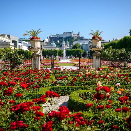 Luxury Stay Salzburg City Dış mekan fotoğraf