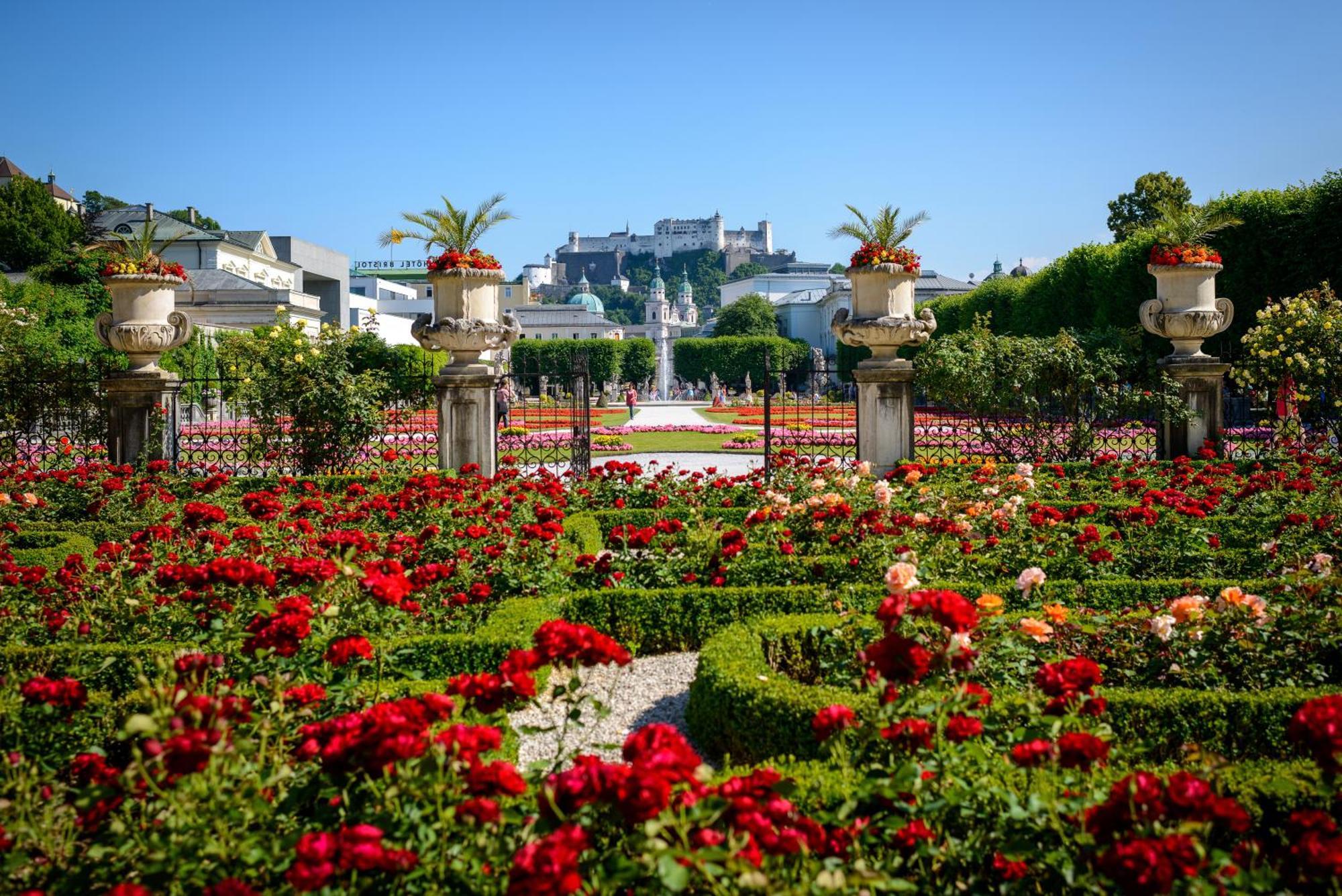 Luxury Stay Salzburg City Dış mekan fotoğraf